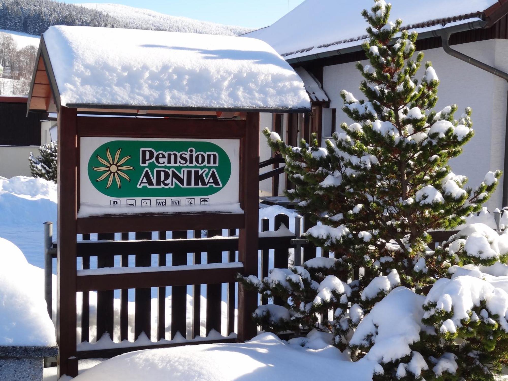Pension Arnika Destne v Orlickych horach Kültér fotó